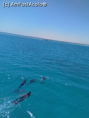 [P20] Dupa delfini » foto by edicrisromi*
 - 
<span class="allrVoted glyphicon glyphicon-heart hidden" id="av1223618"></span>
<a class="m-l-10 hidden" id="sv1223618" onclick="voting_Foto_DelVot(,1223618,3529)" role="button">șterge vot <span class="glyphicon glyphicon-remove"></span></a>
<a id="v91223618" class=" c-red"  onclick="voting_Foto_SetVot(1223618)" role="button"><span class="glyphicon glyphicon-heart-empty"></span> <b>LIKE</b> = Votează poza</a> <img class="hidden"  id="f1223618W9" src="/imagini/loader.gif" border="0" /><span class="AjErrMes hidden" id="e1223618ErM"></span>