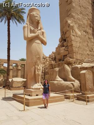[P10] Karnak Temple - Statuia lui Ramses II » foto by angela_tudose
 - 
<span class="allrVoted glyphicon glyphicon-heart hidden" id="av966069"></span>
<a class="m-l-10 hidden" id="sv966069" onclick="voting_Foto_DelVot(,966069,3529)" role="button">șterge vot <span class="glyphicon glyphicon-remove"></span></a>
<a id="v9966069" class=" c-red"  onclick="voting_Foto_SetVot(966069)" role="button"><span class="glyphicon glyphicon-heart-empty"></span> <b>LIKE</b> = Votează poza</a> <img class="hidden"  id="f966069W9" src="/imagini/loader.gif" border="0" /><span class="AjErrMes hidden" id="e966069ErM"></span>