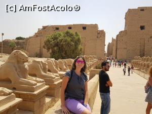 [P04] La Templele din Karnak » foto by angela_tudose
 - 
<span class="allrVoted glyphicon glyphicon-heart hidden" id="av966054"></span>
<a class="m-l-10 hidden" id="sv966054" onclick="voting_Foto_DelVot(,966054,3529)" role="button">șterge vot <span class="glyphicon glyphicon-remove"></span></a>
<a id="v9966054" class=" c-red"  onclick="voting_Foto_SetVot(966054)" role="button"><span class="glyphicon glyphicon-heart-empty"></span> <b>LIKE</b> = Votează poza</a> <img class="hidden"  id="f966054W9" src="/imagini/loader.gif" border="0" /><span class="AjErrMes hidden" id="e966054ErM"></span>