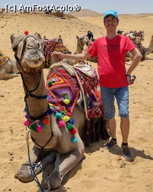 [P43] Eu și dromaderul Casablanca. » foto by ovidiuyepi
 - 
<span class="allrVoted glyphicon glyphicon-heart hidden" id="av1365398"></span>
<a class="m-l-10 hidden" id="sv1365398" onclick="voting_Foto_DelVot(,1365398,3529)" role="button">șterge vot <span class="glyphicon glyphicon-remove"></span></a>
<a id="v91365398" class=" c-red"  onclick="voting_Foto_SetVot(1365398)" role="button"><span class="glyphicon glyphicon-heart-empty"></span> <b>LIKE</b> = Votează poza</a> <img class="hidden"  id="f1365398W9" src="/imagini/loader.gif" border="0" /><span class="AjErrMes hidden" id="e1365398ErM"></span>