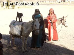 [P12]  -- <small>// FĂRĂ DESCRIERE</small> » foto by soacramea13
 - 
<span class="allrVoted glyphicon glyphicon-heart hidden" id="av876415"></span>
<a class="m-l-10 hidden" id="sv876415" onclick="voting_Foto_DelVot(,876415,3529)" role="button">șterge vot <span class="glyphicon glyphicon-remove"></span></a>
<a id="v9876415" class=" c-red"  onclick="voting_Foto_SetVot(876415)" role="button"><span class="glyphicon glyphicon-heart-empty"></span> <b>LIKE</b> = Votează poza</a> <img class="hidden"  id="f876415W9" src="/imagini/loader.gif" border="0" /><span class="AjErrMes hidden" id="e876415ErM"></span>