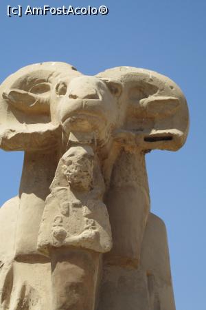 [P11]  -- <small>// FĂRĂ DESCRIERE</small> » foto by barzoica*
 - 
<span class="allrVoted glyphicon glyphicon-heart hidden" id="av1004076"></span>
<a class="m-l-10 hidden" id="sv1004076" onclick="voting_Foto_DelVot(,1004076,3529)" role="button">șterge vot <span class="glyphicon glyphicon-remove"></span></a>
<a id="v91004076" class=" c-red"  onclick="voting_Foto_SetVot(1004076)" role="button"><span class="glyphicon glyphicon-heart-empty"></span> <b>LIKE</b> = Votează poza</a> <img class="hidden"  id="f1004076W9" src="/imagini/loader.gif" border="0" /><span class="AjErrMes hidden" id="e1004076ErM"></span>