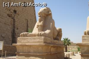 [P12]  -- <small>// FĂRĂ DESCRIERE</small> » foto by barzoica*
 - 
<span class="allrVoted glyphicon glyphicon-heart hidden" id="av1004078"></span>
<a class="m-l-10 hidden" id="sv1004078" onclick="voting_Foto_DelVot(,1004078,3529)" role="button">șterge vot <span class="glyphicon glyphicon-remove"></span></a>
<a id="v91004078" class=" c-red"  onclick="voting_Foto_SetVot(1004078)" role="button"><span class="glyphicon glyphicon-heart-empty"></span> <b>LIKE</b> = Votează poza</a> <img class="hidden"  id="f1004078W9" src="/imagini/loader.gif" border="0" /><span class="AjErrMes hidden" id="e1004078ErM"></span>