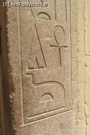 [P18]  -- <small>// FĂRĂ DESCRIERE</small> » foto by barzoica*
 - 
<span class="allrVoted glyphicon glyphicon-heart hidden" id="av1004087"></span>
<a class="m-l-10 hidden" id="sv1004087" onclick="voting_Foto_DelVot(,1004087,3529)" role="button">șterge vot <span class="glyphicon glyphicon-remove"></span></a>
<a id="v91004087" class=" c-red"  onclick="voting_Foto_SetVot(1004087)" role="button"><span class="glyphicon glyphicon-heart-empty"></span> <b>LIKE</b> = Votează poza</a> <img class="hidden"  id="f1004087W9" src="/imagini/loader.gif" border="0" /><span class="AjErrMes hidden" id="e1004087ErM"></span>