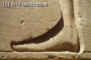 [P22] Finete si eleganta...  » foto by barzoica*
 - 
<span class="allrVoted glyphicon glyphicon-heart hidden" id="av1004094"></span>
<a class="m-l-10 hidden" id="sv1004094" onclick="voting_Foto_DelVot(,1004094,3529)" role="button">șterge vot <span class="glyphicon glyphicon-remove"></span></a>
<a id="v91004094" class=" c-red"  onclick="voting_Foto_SetVot(1004094)" role="button"><span class="glyphicon glyphicon-heart-empty"></span> <b>LIKE</b> = Votează poza</a> <img class="hidden"  id="f1004094W9" src="/imagini/loader.gif" border="0" /><span class="AjErrMes hidden" id="e1004094ErM"></span>