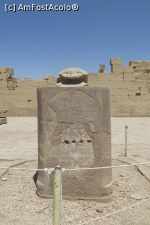 [P23] scarabeul care trebuie inconjurat de 3 ori.  » foto by barzoica*
 - 
<span class="allrVoted glyphicon glyphicon-heart hidden" id="av1004097"></span>
<a class="m-l-10 hidden" id="sv1004097" onclick="voting_Foto_DelVot(,1004097,3529)" role="button">șterge vot <span class="glyphicon glyphicon-remove"></span></a>
<a id="v91004097" class=" c-red"  onclick="voting_Foto_SetVot(1004097)" role="button"><span class="glyphicon glyphicon-heart-empty"></span> <b>LIKE</b> = Votează poza</a> <img class="hidden"  id="f1004097W9" src="/imagini/loader.gif" border="0" /><span class="AjErrMes hidden" id="e1004097ErM"></span>