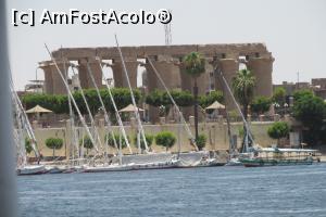 [P24]  -- <small>// FĂRĂ DESCRIERE</small> » foto by barzoica*
 - 
<span class="allrVoted glyphicon glyphicon-heart hidden" id="av1004100"></span>
<a class="m-l-10 hidden" id="sv1004100" onclick="voting_Foto_DelVot(,1004100,3529)" role="button">șterge vot <span class="glyphicon glyphicon-remove"></span></a>
<a id="v91004100" class=" c-red"  onclick="voting_Foto_SetVot(1004100)" role="button"><span class="glyphicon glyphicon-heart-empty"></span> <b>LIKE</b> = Votează poza</a> <img class="hidden"  id="f1004100W9" src="/imagini/loader.gif" border="0" /><span class="AjErrMes hidden" id="e1004100ErM"></span>