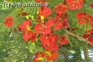 [P03]  -- <small>// FĂRĂ DESCRIERE</small> » foto by barzoica*
 - 
<span class="allrVoted glyphicon glyphicon-heart hidden" id="av1004063"></span>
<a class="m-l-10 hidden" id="sv1004063" onclick="voting_Foto_DelVot(,1004063,3529)" role="button">șterge vot <span class="glyphicon glyphicon-remove"></span></a>
<a id="v91004063" class=" c-red"  onclick="voting_Foto_SetVot(1004063)" role="button"><span class="glyphicon glyphicon-heart-empty"></span> <b>LIKE</b> = Votează poza</a> <img class="hidden"  id="f1004063W9" src="/imagini/loader.gif" border="0" /><span class="AjErrMes hidden" id="e1004063ErM"></span>