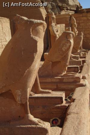 [P33]  -- <small>// FĂRĂ DESCRIERE</small> » foto by barzoica*
 - 
<span class="allrVoted glyphicon glyphicon-heart hidden" id="av1004110"></span>
<a class="m-l-10 hidden" id="sv1004110" onclick="voting_Foto_DelVot(,1004110,3529)" role="button">șterge vot <span class="glyphicon glyphicon-remove"></span></a>
<a id="v91004110" class=" c-red"  onclick="voting_Foto_SetVot(1004110)" role="button"><span class="glyphicon glyphicon-heart-empty"></span> <b>LIKE</b> = Votează poza</a> <img class="hidden"  id="f1004110W9" src="/imagini/loader.gif" border="0" /><span class="AjErrMes hidden" id="e1004110ErM"></span>