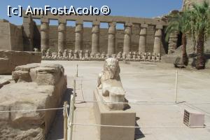 [P07]  -- <small>// FĂRĂ DESCRIERE</small> » foto by barzoica*
 - 
<span class="allrVoted glyphicon glyphicon-heart hidden" id="av1004070"></span>
<a class="m-l-10 hidden" id="sv1004070" onclick="voting_Foto_DelVot(,1004070,3529)" role="button">șterge vot <span class="glyphicon glyphicon-remove"></span></a>
<a id="v91004070" class=" c-red"  onclick="voting_Foto_SetVot(1004070)" role="button"><span class="glyphicon glyphicon-heart-empty"></span> <b>LIKE</b> = Votează poza</a> <img class="hidden"  id="f1004070W9" src="/imagini/loader.gif" border="0" /><span class="AjErrMes hidden" id="e1004070ErM"></span>