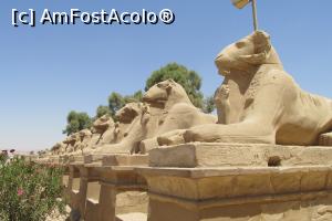 [P08]  -- <small>// FĂRĂ DESCRIERE</small> » foto by barzoica*
 - 
<span class="allrVoted glyphicon glyphicon-heart hidden" id="av1004072"></span>
<a class="m-l-10 hidden" id="sv1004072" onclick="voting_Foto_DelVot(,1004072,3529)" role="button">șterge vot <span class="glyphicon glyphicon-remove"></span></a>
<a id="v91004072" class=" c-red"  onclick="voting_Foto_SetVot(1004072)" role="button"><span class="glyphicon glyphicon-heart-empty"></span> <b>LIKE</b> = Votează poza</a> <img class="hidden"  id="f1004072W9" src="/imagini/loader.gif" border="0" /><span class="AjErrMes hidden" id="e1004072ErM"></span>