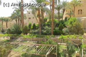 [P09]  -- <small>// FĂRĂ DESCRIERE</small> » foto by barzoica*
 - 
<span class="allrVoted glyphicon glyphicon-heart hidden" id="av1004561"></span>
<a class="m-l-10 hidden" id="sv1004561" onclick="voting_Foto_DelVot(,1004561,3529)" role="button">șterge vot <span class="glyphicon glyphicon-remove"></span></a>
<a id="v91004561" class=" c-red"  onclick="voting_Foto_SetVot(1004561)" role="button"><span class="glyphicon glyphicon-heart-empty"></span> <b>LIKE</b> = Votează poza</a> <img class="hidden"  id="f1004561W9" src="/imagini/loader.gif" border="0" /><span class="AjErrMes hidden" id="e1004561ErM"></span>