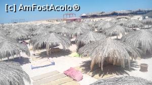 [P14] Pe plaja sunt mai multe " umbrelute-palmier"  » foto by dorgo
 - 
<span class="allrVoted glyphicon glyphicon-heart hidden" id="av1074722"></span>
<a class="m-l-10 hidden" id="sv1074722" onclick="voting_Foto_DelVot(,1074722,3529)" role="button">șterge vot <span class="glyphicon glyphicon-remove"></span></a>
<a id="v91074722" class=" c-red"  onclick="voting_Foto_SetVot(1074722)" role="button"><span class="glyphicon glyphicon-heart-empty"></span> <b>LIKE</b> = Votează poza</a> <img class="hidden"  id="f1074722W9" src="/imagini/loader.gif" border="0" /><span class="AjErrMes hidden" id="e1074722ErM"></span>