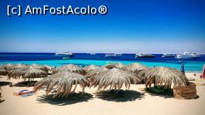 [P15] Paradise beach » foto by dorgo
 - 
<span class="allrVoted glyphicon glyphicon-heart hidden" id="av1074725"></span>
<a class="m-l-10 hidden" id="sv1074725" onclick="voting_Foto_DelVot(,1074725,3529)" role="button">șterge vot <span class="glyphicon glyphicon-remove"></span></a>
<a id="v91074725" class=" c-red"  onclick="voting_Foto_SetVot(1074725)" role="button"><span class="glyphicon glyphicon-heart-empty"></span> <b>LIKE</b> = Votează poza</a> <img class="hidden"  id="f1074725W9" src="/imagini/loader.gif" border="0" /><span class="AjErrMes hidden" id="e1074725ErM"></span>