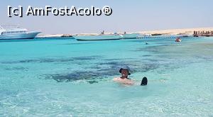 [P18] In apa si la umbra, caldura e suportabila » foto by dorgo
 - 
<span class="allrVoted glyphicon glyphicon-heart hidden" id="av1074729"></span>
<a class="m-l-10 hidden" id="sv1074729" onclick="voting_Foto_DelVot(,1074729,3529)" role="button">șterge vot <span class="glyphicon glyphicon-remove"></span></a>
<a id="v91074729" class=" c-red"  onclick="voting_Foto_SetVot(1074729)" role="button"><span class="glyphicon glyphicon-heart-empty"></span> <b>LIKE</b> = Votează poza</a> <img class="hidden"  id="f1074729W9" src="/imagini/loader.gif" border="0" /><span class="AjErrMes hidden" id="e1074729ErM"></span>