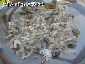 [P19] Cateva resturi de corali, aduse la mal de valuri, pe Paradise Beach » foto by dorgo
 - 
<span class="allrVoted glyphicon glyphicon-heart hidden" id="av1074731"></span>
<a class="m-l-10 hidden" id="sv1074731" onclick="voting_Foto_DelVot(,1074731,3529)" role="button">șterge vot <span class="glyphicon glyphicon-remove"></span></a>
<a id="v91074731" class=" c-red"  onclick="voting_Foto_SetVot(1074731)" role="button"><span class="glyphicon glyphicon-heart-empty"></span> <b>LIKE</b> = Votează poza</a> <img class="hidden"  id="f1074731W9" src="/imagini/loader.gif" border="0" /><span class="AjErrMes hidden" id="e1074731ErM"></span>