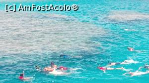 [P06] Ajungem in zona de snorkeling, reciful de corali e de-abia la un metru adancime, sub suprafata apei » foto by dorgo
 - 
<span class="allrVoted glyphicon glyphicon-heart hidden" id="av1074714"></span>
<a class="m-l-10 hidden" id="sv1074714" onclick="voting_Foto_DelVot(,1074714,3529)" role="button">șterge vot <span class="glyphicon glyphicon-remove"></span></a>
<a id="v91074714" class=" c-red"  onclick="voting_Foto_SetVot(1074714)" role="button"><span class="glyphicon glyphicon-heart-empty"></span> <b>LIKE</b> = Votează poza</a> <img class="hidden"  id="f1074714W9" src="/imagini/loader.gif" border="0" /><span class="AjErrMes hidden" id="e1074714ErM"></span>