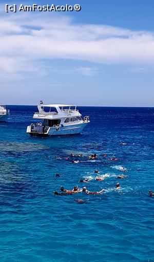 [P07] Mai sunt si alte vaporase in zona, la acelasi recif » foto by dorgo
 - 
<span class="allrVoted glyphicon glyphicon-heart hidden" id="av1074715"></span>
<a class="m-l-10 hidden" id="sv1074715" onclick="voting_Foto_DelVot(,1074715,3529)" role="button">șterge vot <span class="glyphicon glyphicon-remove"></span></a>
<a id="v91074715" class=" c-red"  onclick="voting_Foto_SetVot(1074715)" role="button"><span class="glyphicon glyphicon-heart-empty"></span> <b>LIKE</b> = Votează poza</a> <img class="hidden"  id="f1074715W9" src="/imagini/loader.gif" border="0" /><span class="AjErrMes hidden" id="e1074715ErM"></span>