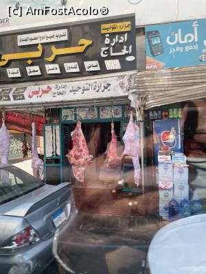 [P06] Prin Hurghada » foto by krisstinna
 - 
<span class="allrVoted glyphicon glyphicon-heart hidden" id="av1281179"></span>
<a class="m-l-10 hidden" id="sv1281179" onclick="voting_Foto_DelVot(,1281179,3529)" role="button">șterge vot <span class="glyphicon glyphicon-remove"></span></a>
<a id="v91281179" class=" c-red"  onclick="voting_Foto_SetVot(1281179)" role="button"><span class="glyphicon glyphicon-heart-empty"></span> <b>LIKE</b> = Votează poza</a> <img class="hidden"  id="f1281179W9" src="/imagini/loader.gif" border="0" /><span class="AjErrMes hidden" id="e1281179ErM"></span>