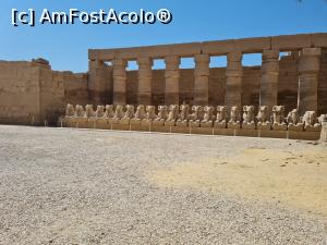 [P95] Chiar amfostacolo... » foto by krisstinna
 - 
<span class="allrVoted glyphicon glyphicon-heart hidden" id="av1281268"></span>
<a class="m-l-10 hidden" id="sv1281268" onclick="voting_Foto_DelVot(,1281268,3529)" role="button">șterge vot <span class="glyphicon glyphicon-remove"></span></a>
<a id="v91281268" class=" c-red"  onclick="voting_Foto_SetVot(1281268)" role="button"><span class="glyphicon glyphicon-heart-empty"></span> <b>LIKE</b> = Votează poza</a> <img class="hidden"  id="f1281268W9" src="/imagini/loader.gif" border="0" /><span class="AjErrMes hidden" id="e1281268ErM"></span>