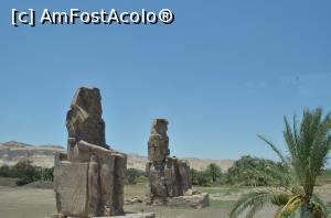 [P22]  -- <small>// FĂRĂ DESCRIERE</small> » foto by robocapady
 - 
<span class="allrVoted glyphicon glyphicon-heart hidden" id="av1054718"></span>
<a class="m-l-10 hidden" id="sv1054718" onclick="voting_Foto_DelVot(,1054718,3529)" role="button">șterge vot <span class="glyphicon glyphicon-remove"></span></a>
<a id="v91054718" class=" c-red"  onclick="voting_Foto_SetVot(1054718)" role="button"><span class="glyphicon glyphicon-heart-empty"></span> <b>LIKE</b> = Votează poza</a> <img class="hidden"  id="f1054718W9" src="/imagini/loader.gif" border="0" /><span class="AjErrMes hidden" id="e1054718ErM"></span>