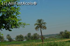 [P06] culturi pe valea Nilului » foto by robocapady
 - 
<span class="allrVoted glyphicon glyphicon-heart hidden" id="av1054667"></span>
<a class="m-l-10 hidden" id="sv1054667" onclick="voting_Foto_DelVot(,1054667,3529)" role="button">șterge vot <span class="glyphicon glyphicon-remove"></span></a>
<a id="v91054667" class=" c-red"  onclick="voting_Foto_SetVot(1054667)" role="button"><span class="glyphicon glyphicon-heart-empty"></span> <b>LIKE</b> = Votează poza</a> <img class="hidden"  id="f1054667W9" src="/imagini/loader.gif" border="0" /><span class="AjErrMes hidden" id="e1054667ErM"></span>