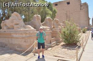 [P07]  -- <small>// FĂRĂ DESCRIERE</small> » foto by robocapady
 - 
<span class="allrVoted glyphicon glyphicon-heart hidden" id="av1054676"></span>
<a class="m-l-10 hidden" id="sv1054676" onclick="voting_Foto_DelVot(,1054676,3529)" role="button">șterge vot <span class="glyphicon glyphicon-remove"></span></a>
<a id="v91054676" class=" c-red"  onclick="voting_Foto_SetVot(1054676)" role="button"><span class="glyphicon glyphicon-heart-empty"></span> <b>LIKE</b> = Votează poza</a> <img class="hidden"  id="f1054676W9" src="/imagini/loader.gif" border="0" /><span class="AjErrMes hidden" id="e1054676ErM"></span>