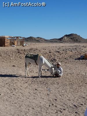 [P02]  -- <small>// FĂRĂ DESCRIERE</small> » foto by georgetap
 - 
<span class="allrVoted glyphicon glyphicon-heart hidden" id="av1137914"></span>
<a class="m-l-10 hidden" id="sv1137914" onclick="voting_Foto_DelVot(,1137914,3529)" role="button">șterge vot <span class="glyphicon glyphicon-remove"></span></a>
<a id="v91137914" class=" c-red"  onclick="voting_Foto_SetVot(1137914)" role="button"><span class="glyphicon glyphicon-heart-empty"></span> <b>LIKE</b> = Votează poza</a> <img class="hidden"  id="f1137914W9" src="/imagini/loader.gif" border="0" /><span class="AjErrMes hidden" id="e1137914ErM"></span>