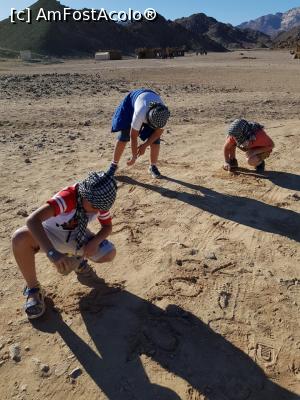 [P07]  -- <small>// FĂRĂ DESCRIERE</small> » foto by georgetap
 - 
<span class="allrVoted glyphicon glyphicon-heart hidden" id="av1137919"></span>
<a class="m-l-10 hidden" id="sv1137919" onclick="voting_Foto_DelVot(,1137919,3529)" role="button">șterge vot <span class="glyphicon glyphicon-remove"></span></a>
<a id="v91137919" class=" c-red"  onclick="voting_Foto_SetVot(1137919)" role="button"><span class="glyphicon glyphicon-heart-empty"></span> <b>LIKE</b> = Votează poza</a> <img class="hidden"  id="f1137919W9" src="/imagini/loader.gif" border="0" /><span class="AjErrMes hidden" id="e1137919ErM"></span>