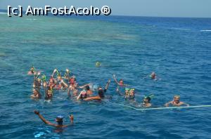 [P12]  -- <small>// FĂRĂ DESCRIERE</small> » foto by sorinilie68
 - 
<span class="allrVoted glyphicon glyphicon-heart hidden" id="av1100375"></span>
<a class="m-l-10 hidden" id="sv1100375" onclick="voting_Foto_DelVot(,1100375,3529)" role="button">șterge vot <span class="glyphicon glyphicon-remove"></span></a>
<a id="v91100375" class=" c-red"  onclick="voting_Foto_SetVot(1100375)" role="button"><span class="glyphicon glyphicon-heart-empty"></span> <b>LIKE</b> = Votează poza</a> <img class="hidden"  id="f1100375W9" src="/imagini/loader.gif" border="0" /><span class="AjErrMes hidden" id="e1100375ErM"></span>