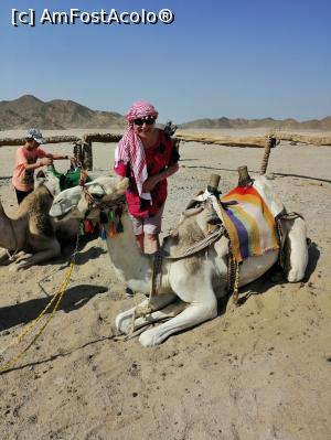 [P02]  -- <small>// FĂRĂ DESCRIERE</small> » foto by sorinilie68
 - 
<span class="allrVoted glyphicon glyphicon-heart hidden" id="av1101932"></span>
<a class="m-l-10 hidden" id="sv1101932" onclick="voting_Foto_DelVot(,1101932,3529)" role="button">șterge vot <span class="glyphicon glyphicon-remove"></span></a>
<a id="v91101932" class=" c-red"  onclick="voting_Foto_SetVot(1101932)" role="button"><span class="glyphicon glyphicon-heart-empty"></span> <b>LIKE</b> = Votează poza</a> <img class="hidden"  id="f1101932W9" src="/imagini/loader.gif" border="0" /><span class="AjErrMes hidden" id="e1101932ErM"></span>