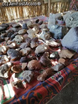 [P07]  -- <small>// FĂRĂ DESCRIERE</small> » foto by sorinilie68
 - 
<span class="allrVoted glyphicon glyphicon-heart hidden" id="av1101944"></span>
<a class="m-l-10 hidden" id="sv1101944" onclick="voting_Foto_DelVot(,1101944,3529)" role="button">șterge vot <span class="glyphicon glyphicon-remove"></span></a>
<a id="v91101944" class=" c-red"  onclick="voting_Foto_SetVot(1101944)" role="button"><span class="glyphicon glyphicon-heart-empty"></span> <b>LIKE</b> = Votează poza</a> <img class="hidden"  id="f1101944W9" src="/imagini/loader.gif" border="0" /><span class="AjErrMes hidden" id="e1101944ErM"></span>