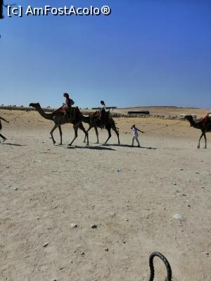 [P07]  -- <small>// FĂRĂ DESCRIERE</small> » foto by sorinilie68
 - 
<span class="allrVoted glyphicon glyphicon-heart hidden" id="av1101055"></span>
<a class="m-l-10 hidden" id="sv1101055" onclick="voting_Foto_DelVot(,1101055,3529)" role="button">șterge vot <span class="glyphicon glyphicon-remove"></span></a>
<a id="v91101055" class=" c-red"  onclick="voting_Foto_SetVot(1101055)" role="button"><span class="glyphicon glyphicon-heart-empty"></span> <b>LIKE</b> = Votează poza</a> <img class="hidden"  id="f1101055W9" src="/imagini/loader.gif" border="0" /><span class="AjErrMes hidden" id="e1101055ErM"></span>