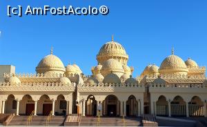 [P01]  -- <small>// FĂRĂ DESCRIERE</small> » foto by annabella04
 - 
<span class="allrVoted glyphicon glyphicon-heart hidden" id="av1219224"></span>
<a class="m-l-10 hidden" id="sv1219224" onclick="voting_Foto_DelVot(,1219224,3529)" role="button">șterge vot <span class="glyphicon glyphicon-remove"></span></a>
<a id="v91219224" class=" c-red"  onclick="voting_Foto_SetVot(1219224)" role="button"><span class="glyphicon glyphicon-heart-empty"></span> <b>LIKE</b> = Votează poza</a> <img class="hidden"  id="f1219224W9" src="/imagini/loader.gif" border="0" /><span class="AjErrMes hidden" id="e1219224ErM"></span>