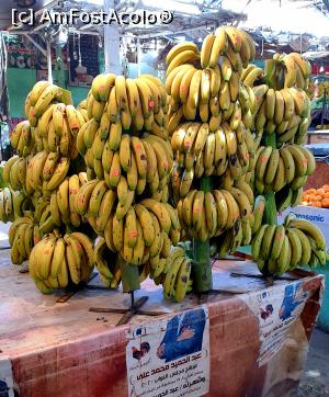 [P05]  -- <small>// FĂRĂ DESCRIERE</small> » foto by annabella04
 - 
<span class="allrVoted glyphicon glyphicon-heart hidden" id="av1219228"></span>
<a class="m-l-10 hidden" id="sv1219228" onclick="voting_Foto_DelVot(,1219228,3529)" role="button">șterge vot <span class="glyphicon glyphicon-remove"></span></a>
<a id="v91219228" class=" c-red"  onclick="voting_Foto_SetVot(1219228)" role="button"><span class="glyphicon glyphicon-heart-empty"></span> <b>LIKE</b> = Votează poza</a> <img class="hidden"  id="f1219228W9" src="/imagini/loader.gif" border="0" /><span class="AjErrMes hidden" id="e1219228ErM"></span>