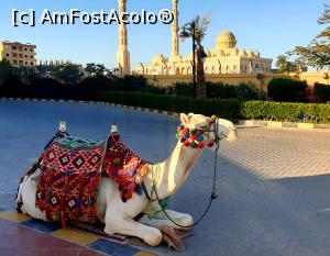 [P06]  -- <small>// FĂRĂ DESCRIERE</small> » foto by annabella04
 - 
<span class="allrVoted glyphicon glyphicon-heart hidden" id="av1219229"></span>
<a class="m-l-10 hidden" id="sv1219229" onclick="voting_Foto_DelVot(,1219229,3529)" role="button">șterge vot <span class="glyphicon glyphicon-remove"></span></a>
<a id="v91219229" class=" c-red"  onclick="voting_Foto_SetVot(1219229)" role="button"><span class="glyphicon glyphicon-heart-empty"></span> <b>LIKE</b> = Votează poza</a> <img class="hidden"  id="f1219229W9" src="/imagini/loader.gif" border="0" /><span class="AjErrMes hidden" id="e1219229ErM"></span>