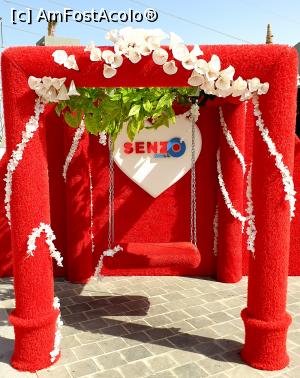 [P07]  -- <small>// FĂRĂ DESCRIERE</small> » foto by annabella04
 - 
<span class="allrVoted glyphicon glyphicon-heart hidden" id="av1219230"></span>
<a class="m-l-10 hidden" id="sv1219230" onclick="voting_Foto_DelVot(,1219230,3529)" role="button">șterge vot <span class="glyphicon glyphicon-remove"></span></a>
<a id="v91219230" class=" c-red"  onclick="voting_Foto_SetVot(1219230)" role="button"><span class="glyphicon glyphicon-heart-empty"></span> <b>LIKE</b> = Votează poza</a> <img class="hidden"  id="f1219230W9" src="/imagini/loader.gif" border="0" /><span class="AjErrMes hidden" id="e1219230ErM"></span>