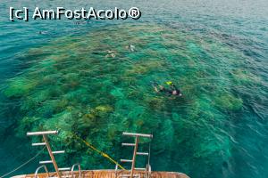 [P11]  -- <small>// FĂRĂ DESCRIERE</small> » foto by maxxis89
 - 
<span class="allrVoted glyphicon glyphicon-heart hidden" id="av1238694"></span>
<a class="m-l-10 hidden" id="sv1238694" onclick="voting_Foto_DelVot(,1238694,3529)" role="button">șterge vot <span class="glyphicon glyphicon-remove"></span></a>
<a id="v91238694" class=" c-red"  onclick="voting_Foto_SetVot(1238694)" role="button"><span class="glyphicon glyphicon-heart-empty"></span> <b>LIKE</b> = Votează poza</a> <img class="hidden"  id="f1238694W9" src="/imagini/loader.gif" border="0" /><span class="AjErrMes hidden" id="e1238694ErM"></span>