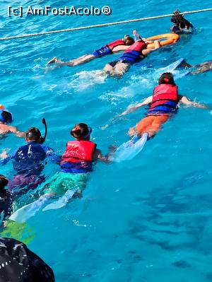 [P07] Snorkeling :) » foto by maldinutza
 - 
<span class="allrVoted glyphicon glyphicon-heart hidden" id="av1225028"></span>
<a class="m-l-10 hidden" id="sv1225028" onclick="voting_Foto_DelVot(,1225028,3529)" role="button">șterge vot <span class="glyphicon glyphicon-remove"></span></a>
<a id="v91225028" class=" c-red"  onclick="voting_Foto_SetVot(1225028)" role="button"><span class="glyphicon glyphicon-heart-empty"></span> <b>LIKE</b> = Votează poza</a> <img class="hidden"  id="f1225028W9" src="/imagini/loader.gif" border="0" /><span class="AjErrMes hidden" id="e1225028ErM"></span>