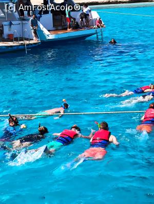 [P08] Snorkeling :) » foto by maldinutza
 - 
<span class="allrVoted glyphicon glyphicon-heart hidden" id="av1225029"></span>
<a class="m-l-10 hidden" id="sv1225029" onclick="voting_Foto_DelVot(,1225029,3529)" role="button">șterge vot <span class="glyphicon glyphicon-remove"></span></a>
<a id="v91225029" class=" c-red"  onclick="voting_Foto_SetVot(1225029)" role="button"><span class="glyphicon glyphicon-heart-empty"></span> <b>LIKE</b> = Votează poza</a> <img class="hidden"  id="f1225029W9" src="/imagini/loader.gif" border="0" /><span class="AjErrMes hidden" id="e1225029ErM"></span>