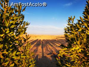 [P01] Peisaj de pe drum » foto by cata2106
 - 
<span class="allrVoted glyphicon glyphicon-heart hidden" id="av1213609"></span>
<a class="m-l-10 hidden" id="sv1213609" onclick="voting_Foto_DelVot(,1213609,3529)" role="button">șterge vot <span class="glyphicon glyphicon-remove"></span></a>
<a id="v91213609" class=" c-red"  onclick="voting_Foto_SetVot(1213609)" role="button"><span class="glyphicon glyphicon-heart-empty"></span> <b>LIKE</b> = Votează poza</a> <img class="hidden"  id="f1213609W9" src="/imagini/loader.gif" border="0" /><span class="AjErrMes hidden" id="e1213609ErM"></span>