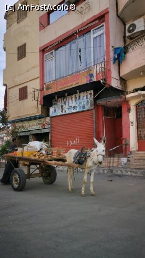 [P12] Participanți la trafic » foto by cata2106
 - 
<span class="allrVoted glyphicon glyphicon-heart hidden" id="av1213620"></span>
<a class="m-l-10 hidden" id="sv1213620" onclick="voting_Foto_DelVot(,1213620,3529)" role="button">șterge vot <span class="glyphicon glyphicon-remove"></span></a>
<a id="v91213620" class=" c-red"  onclick="voting_Foto_SetVot(1213620)" role="button"><span class="glyphicon glyphicon-heart-empty"></span> <b>LIKE</b> = Votează poza</a> <img class="hidden"  id="f1213620W9" src="/imagini/loader.gif" border="0" /><span class="AjErrMes hidden" id="e1213620ErM"></span>