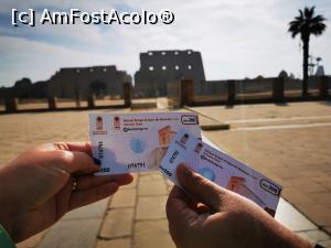 [P14] Templul din Karnak » foto by cata2106
 - 
<span class="allrVoted glyphicon glyphicon-heart hidden" id="av1213622"></span>
<a class="m-l-10 hidden" id="sv1213622" onclick="voting_Foto_DelVot(,1213622,3529)" role="button">șterge vot <span class="glyphicon glyphicon-remove"></span></a>
<a id="v91213622" class=" c-red"  onclick="voting_Foto_SetVot(1213622)" role="button"><span class="glyphicon glyphicon-heart-empty"></span> <b>LIKE</b> = Votează poza</a> <img class="hidden"  id="f1213622W9" src="/imagini/loader.gif" border="0" /><span class="AjErrMes hidden" id="e1213622ErM"></span>