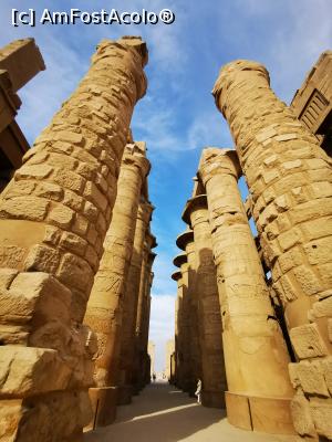 [P20] Templul din Karnak » foto by cata2106
 - 
<span class="allrVoted glyphicon glyphicon-heart hidden" id="av1213628"></span>
<a class="m-l-10 hidden" id="sv1213628" onclick="voting_Foto_DelVot(,1213628,3529)" role="button">șterge vot <span class="glyphicon glyphicon-remove"></span></a>
<a id="v91213628" class=" c-red"  onclick="voting_Foto_SetVot(1213628)" role="button"><span class="glyphicon glyphicon-heart-empty"></span> <b>LIKE</b> = Votează poza</a> <img class="hidden"  id="f1213628W9" src="/imagini/loader.gif" border="0" /><span class="AjErrMes hidden" id="e1213628ErM"></span>