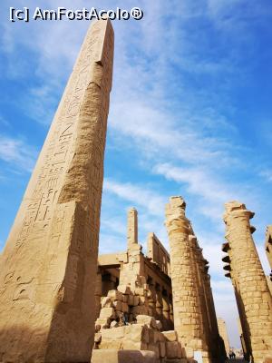 [P21] Templul din Karnak » foto by cata2106
 - 
<span class="allrVoted glyphicon glyphicon-heart hidden" id="av1213629"></span>
<a class="m-l-10 hidden" id="sv1213629" onclick="voting_Foto_DelVot(,1213629,3529)" role="button">șterge vot <span class="glyphicon glyphicon-remove"></span></a>
<a id="v91213629" class=" c-red"  onclick="voting_Foto_SetVot(1213629)" role="button"><span class="glyphicon glyphicon-heart-empty"></span> <b>LIKE</b> = Votează poza</a> <img class="hidden"  id="f1213629W9" src="/imagini/loader.gif" border="0" /><span class="AjErrMes hidden" id="e1213629ErM"></span>