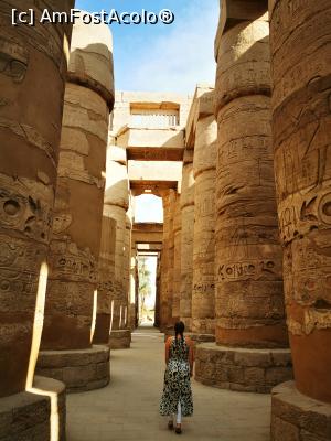 [P26] Templul din Karnak » foto by cata2106
 - 
<span class="allrVoted glyphicon glyphicon-heart hidden" id="av1213634"></span>
<a class="m-l-10 hidden" id="sv1213634" onclick="voting_Foto_DelVot(,1213634,3529)" role="button">șterge vot <span class="glyphicon glyphicon-remove"></span></a>
<a id="v91213634" class=" c-red"  onclick="voting_Foto_SetVot(1213634)" role="button"><span class="glyphicon glyphicon-heart-empty"></span> <b>LIKE</b> = Votează poza</a> <img class="hidden"  id="f1213634W9" src="/imagini/loader.gif" border="0" /><span class="AjErrMes hidden" id="e1213634ErM"></span>