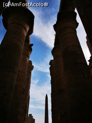 [P27] Templul din Karnak » foto by cata2106
 - 
<span class="allrVoted glyphicon glyphicon-heart hidden" id="av1213635"></span>
<a class="m-l-10 hidden" id="sv1213635" onclick="voting_Foto_DelVot(,1213635,3529)" role="button">șterge vot <span class="glyphicon glyphicon-remove"></span></a>
<a id="v91213635" class=" c-red"  onclick="voting_Foto_SetVot(1213635)" role="button"><span class="glyphicon glyphicon-heart-empty"></span> <b>LIKE</b> = Votează poza</a> <img class="hidden"  id="f1213635W9" src="/imagini/loader.gif" border="0" /><span class="AjErrMes hidden" id="e1213635ErM"></span>