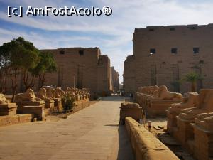 [P31] Templul din Karnak » foto by cata2106
 - 
<span class="allrVoted glyphicon glyphicon-heart hidden" id="av1213639"></span>
<a class="m-l-10 hidden" id="sv1213639" onclick="voting_Foto_DelVot(,1213639,3529)" role="button">șterge vot <span class="glyphicon glyphicon-remove"></span></a>
<a id="v91213639" class=" c-red"  onclick="voting_Foto_SetVot(1213639)" role="button"><span class="glyphicon glyphicon-heart-empty"></span> <b>LIKE</b> = Votează poza</a> <img class="hidden"  id="f1213639W9" src="/imagini/loader.gif" border="0" /><span class="AjErrMes hidden" id="e1213639ErM"></span>