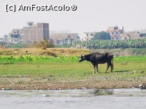 [P37] Banana Island » foto by cata2106
 - 
<span class="allrVoted glyphicon glyphicon-heart hidden" id="av1213645"></span>
<a class="m-l-10 hidden" id="sv1213645" onclick="voting_Foto_DelVot(,1213645,3529)" role="button">șterge vot <span class="glyphicon glyphicon-remove"></span></a>
<a id="v91213645" class=" c-red"  onclick="voting_Foto_SetVot(1213645)" role="button"><span class="glyphicon glyphicon-heart-empty"></span> <b>LIKE</b> = Votează poza</a> <img class="hidden"  id="f1213645W9" src="/imagini/loader.gif" border="0" /><span class="AjErrMes hidden" id="e1213645ErM"></span>