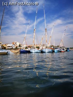 [P39] Feluccile Nilului » foto by cata2106
 - 
<span class="allrVoted glyphicon glyphicon-heart hidden" id="av1213647"></span>
<a class="m-l-10 hidden" id="sv1213647" onclick="voting_Foto_DelVot(,1213647,3529)" role="button">șterge vot <span class="glyphicon glyphicon-remove"></span></a>
<a id="v91213647" class=" c-red"  onclick="voting_Foto_SetVot(1213647)" role="button"><span class="glyphicon glyphicon-heart-empty"></span> <b>LIKE</b> = Votează poza</a> <img class="hidden"  id="f1213647W9" src="/imagini/loader.gif" border="0" /><span class="AjErrMes hidden" id="e1213647ErM"></span>